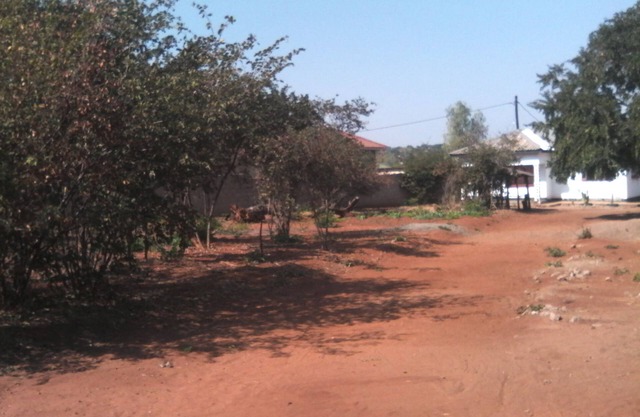 Ubuntu humanity Trust