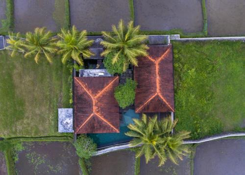 Uma Langkih Villa