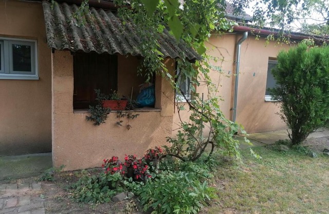 UMM apartman za EXIT