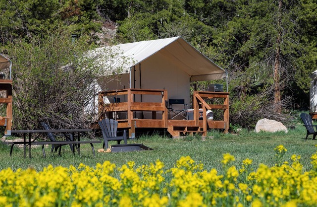 Unique Glamping Experience