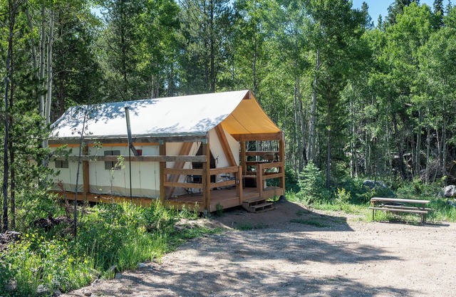 Unique Glamping Experience