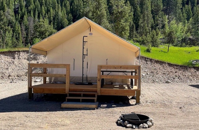 Unique Glamping Experience
