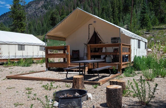 Unique Glamping Experience