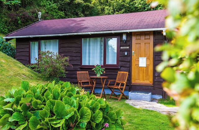 Unique, peaceful, cosy and quaint cedar wood built holiday lodge.