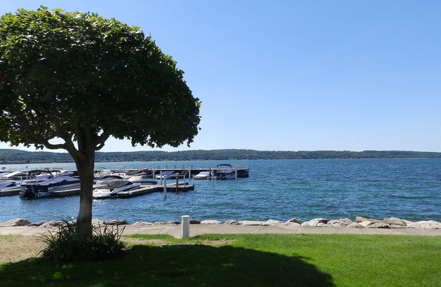 Unique Unit View - Landings Condominium on Beautiful Lake Charlevoix - WIFI