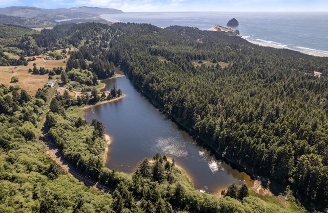 Unmatched Multi-Home Estate on Private Lake w/Sandy Beaches, Hot Tubs, Fire-Pit, 1 Mile to Beach