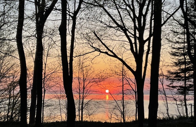 Updated lakefront cottage - beautiful views! Walk to beach!