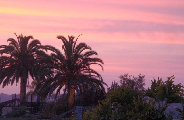 Upscale Cottage Close to Del Mar Beach