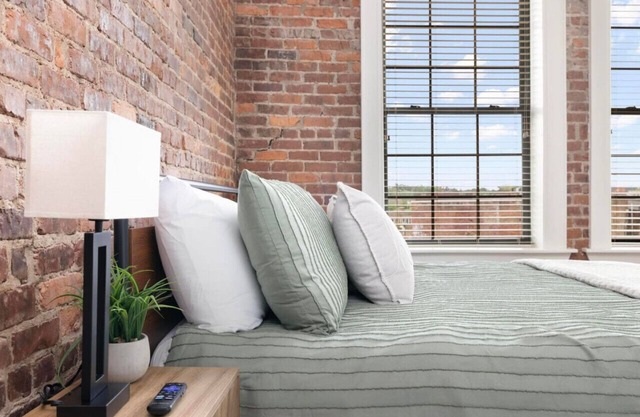 Urban downtown Johnson City loft oasis