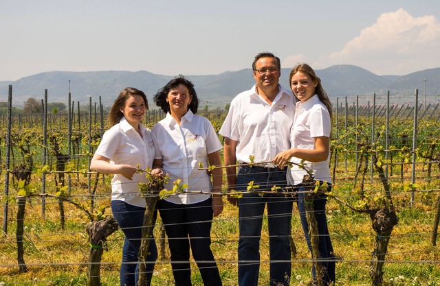 Urlaub in Einem Weingut. Hautnah die Arbeit Eines Winzers Miterleben