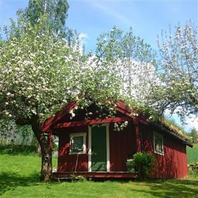 Vårsetra