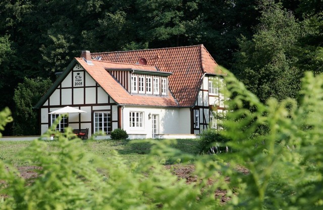 Vacation apartment/apartment for 1 guest with 27m² in Lüdersburg (149381)