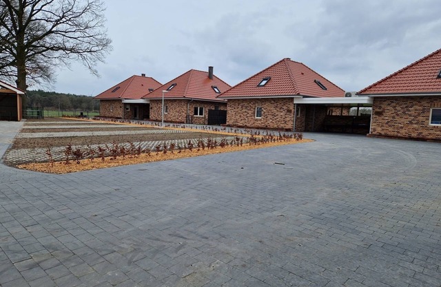 Vacation home for 8 guests with 106m² in Haselünne (267138)