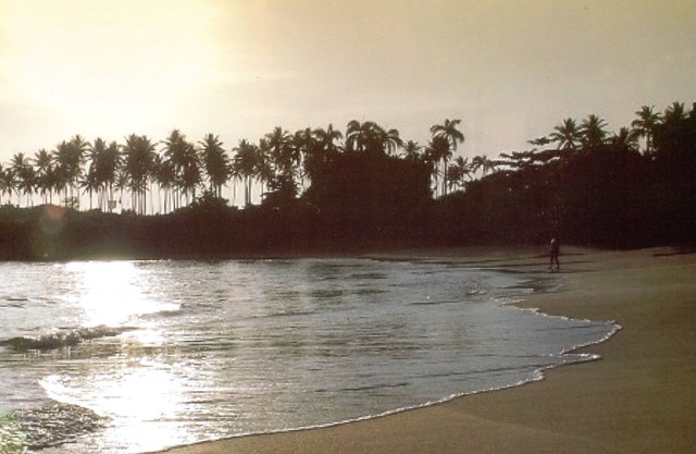 Vacation in a paradise