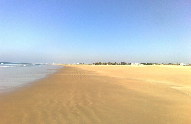 Vacation Rentals