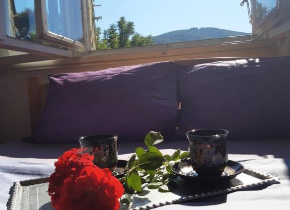 Vanja's happy place