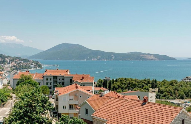 Vasic Apartments