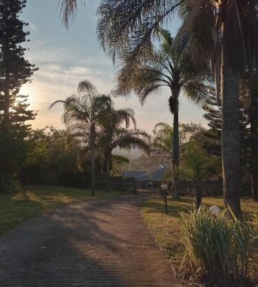 Vervet Guesthouse