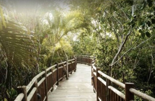 Vidanta Property Grand Luxxe Master Suite 2 Bedroom, 2 Bath