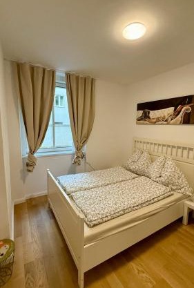 Vienna Laurenz apartment
