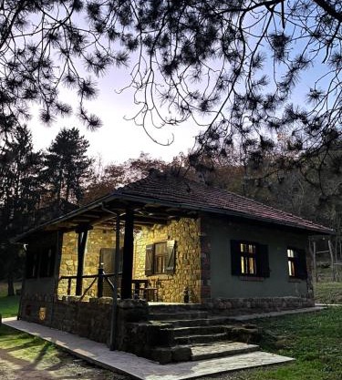 Vila Fruškogorski Mir