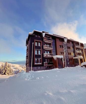Vila Golija Peak Suites
