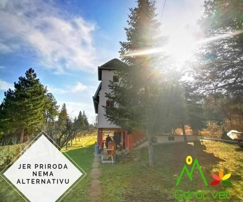 Vila Gorocvet