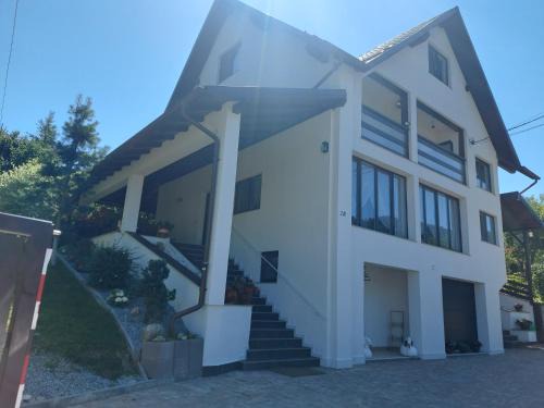 Vila vio