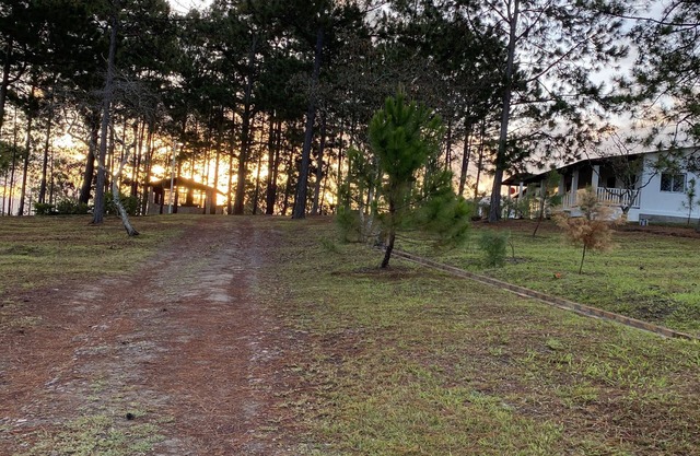 Villa de la Rosa R&R – Cozy 2-Bedroom Cabin in the Pines of Siguatepeque