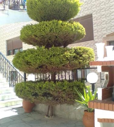 Villa Dina 1
