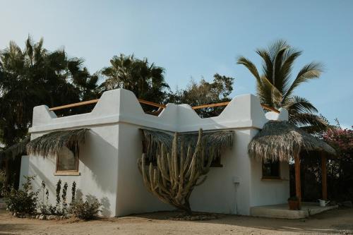 Villa Gardenia - Oceanview Villas w Pool