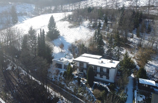 Villa in Winterberg near the ski resort