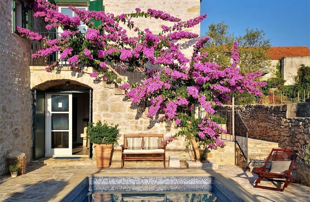 Villa Ivana Summary:
