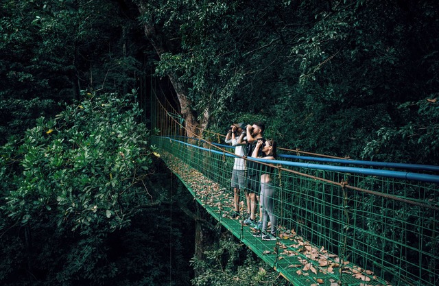 Villa Lapas Jungle Village