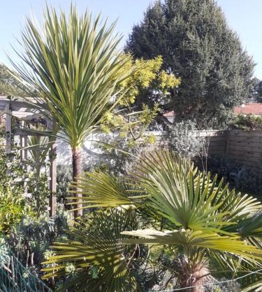 Villa Les Palmiers