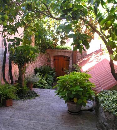 Villa Magnolia