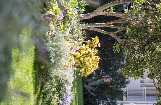 VILLA Markota, BEAUTIFUL PLACE FOR FAMILY EXPIRIENCE , up to 8 person