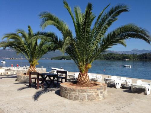 Villa Milovic, 3 appartements les pieds dans l'eau!