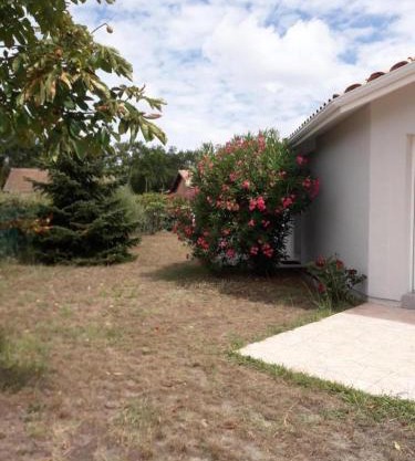 Villa ocean et foret