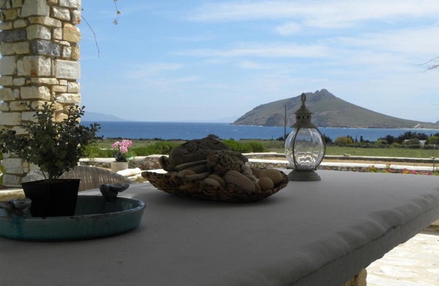 Villa Petradi (150 meters from the sea)