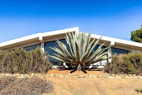 Villa Sauvignon Viñedo Privado Valle De Guadalupe