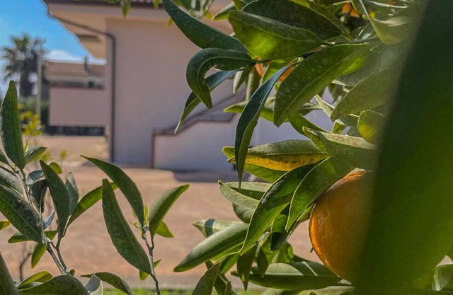Villa the Scent of Oranges