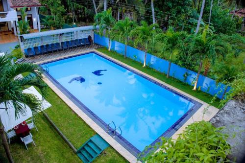 Villa viola resort