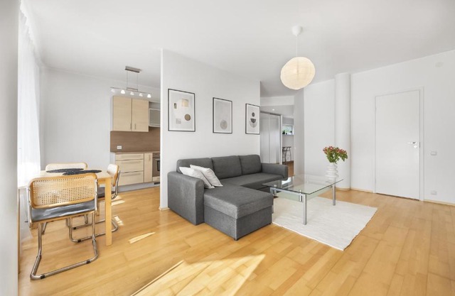 Vilmsi 41 Apartment