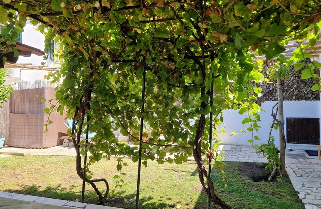 Vine Garden Villa