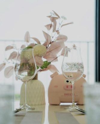 Vinhomes D'Capitale Trần Duy Hưng Dani Apartment
