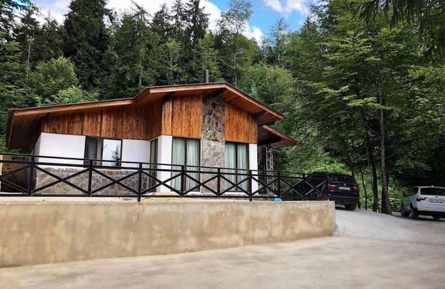VIP class cottage in Bakuriani