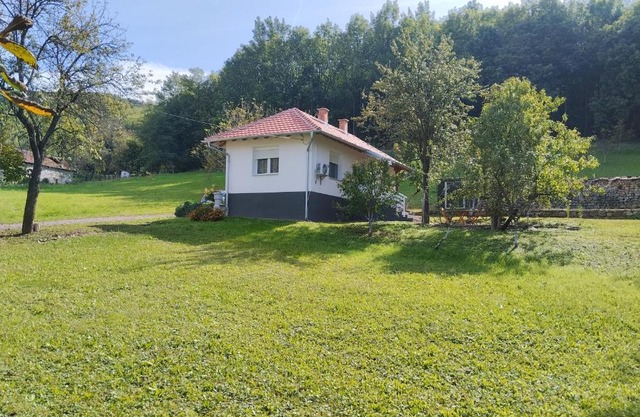 Vitovnicki Mir