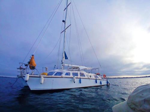 Vivez une expérience insolite sur notre grand catamaran de 12m au mouillage en face de Marseillan