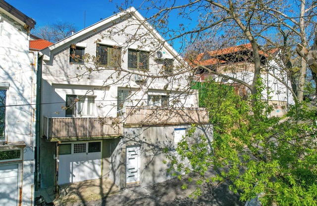 VP Apartment - A Forest Retreat in the Heart of the City!